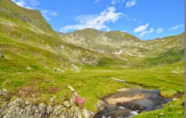 Vârful Moldoveanu (şi nu numai) prin Valea Rea şi Căldarea Galbena