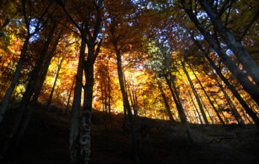 Valea lui Stan în straie de toamnă, Poenari și un pic de rapel
