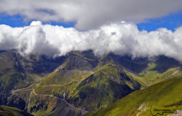 Museteica, my love! Pe nemarcat in imparatia Fagarasului