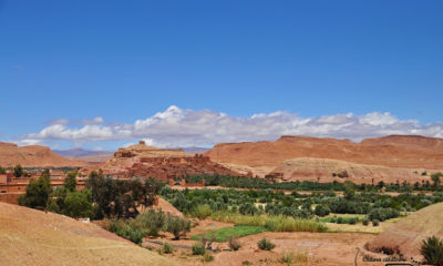Spania si Maroc – ziua 7 – Desert si dromaderi