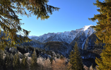 Relaxare, cantare si un pic de invatare – cu gasca la Cabana Diham