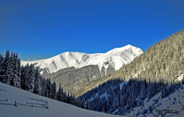 Tura scurta-scurta pana la Stana Piscul Negru