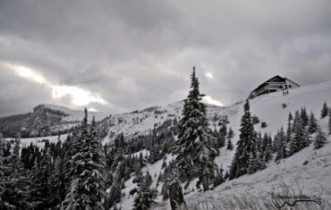 Reintoarcere in Ceahlau, ziua 1 – cum mi-am pierdut vocea la cabana Dochia