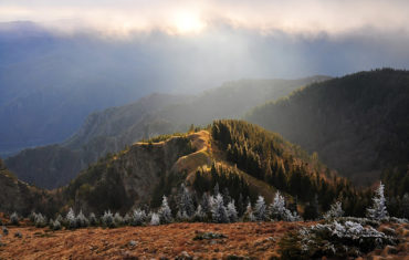 Prima data in muntii Coziei