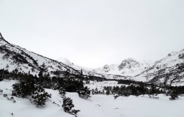 Revelion 2018 la cabana Gentiana