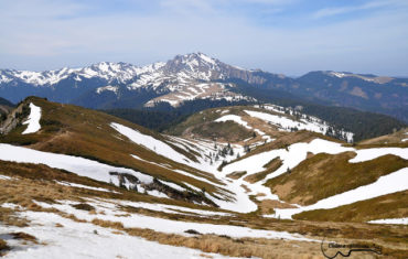 Ciucas in straie de primavara – plimbare pana la Vf Gropsoarele