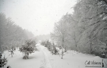 Baiului: Vf Clabucetul Taurului, Cabana Garbova si Susai (tura de iarna)
