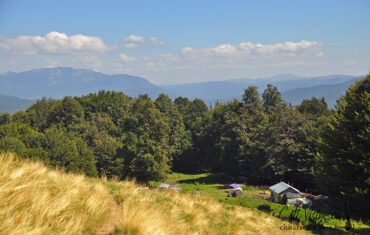 Munții Grohotiș – Vârful Nebunul Mare