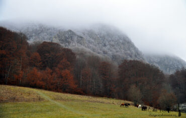 Muntii Persani: Cheile Varghisului, la granita dintre toamna si iarna