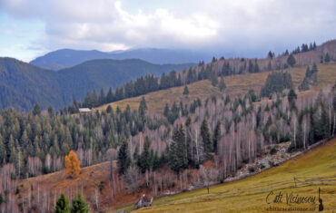 Leaota-Bucegi: Culmea Barbuletului si varful Bucsa