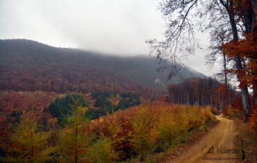 Munții Persani: Vf Măgura Codlei