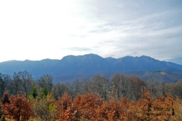 Munții Baiului: vârful Clăbucetul Taurului și o panoramă fantastică asupra Bucegilor