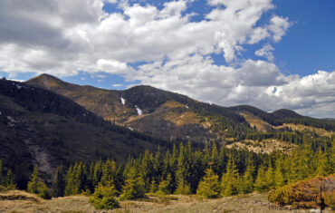 Munții Buzăului (masivul Penteleu): vârful Penteleu