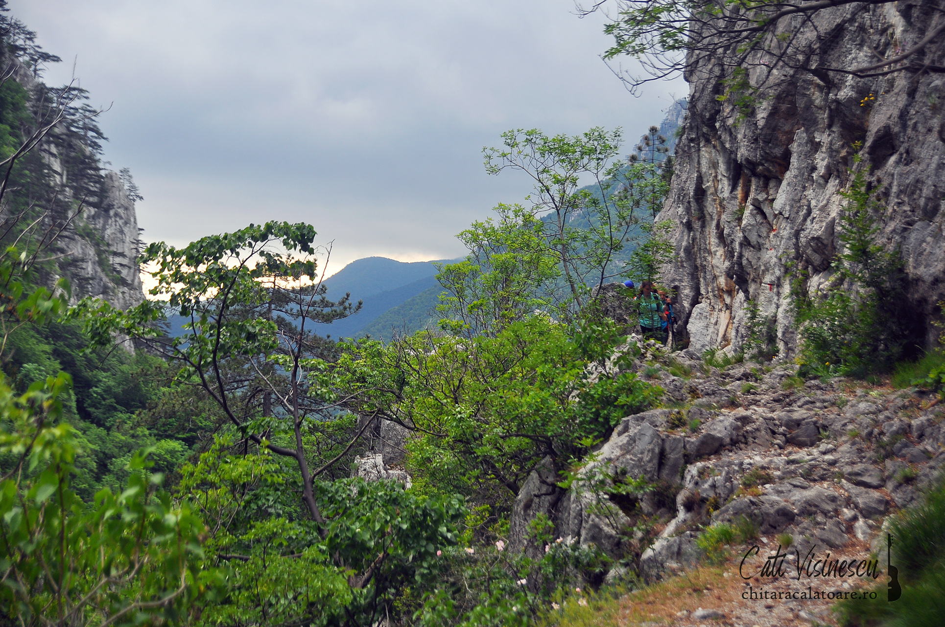 Munții Mehedinți: Cheile Ţăsnei, Moara Dracilor și Poiana Ţăsnei
