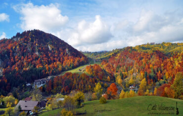 Amfiteatrul Transilvania în culori de toamnă
