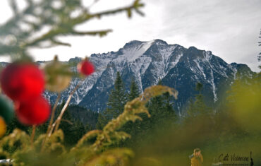 Să dăm tonul pe tot anul! Tură de o zi pe vârful Grecului, munţii Bucegi