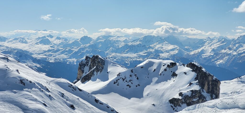 IMG 20250318 WA0105 1