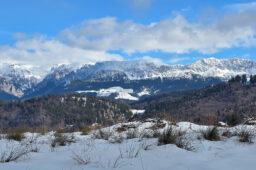 Traseu ușor de o zi în Moeciu de Sus – Traseul ecoturistic T6