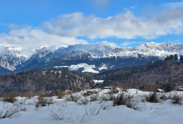 Traseu ușor de o zi în Moeciu de Sus – Traseul ecoturistic T6