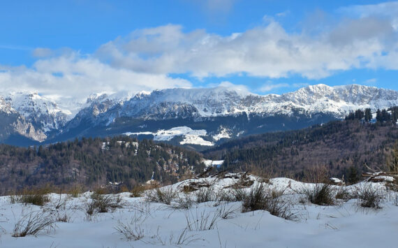 Traseu ușor de o zi în Moeciu de Sus – Traseul ecoturistic T6