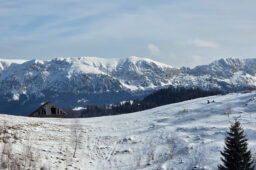 Plimbare scurtă în zona Fundata – Traseul ecoturistic T1