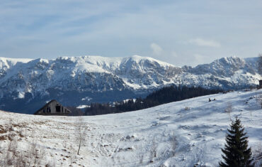 Plimbare scurtă în zona Fundata – Traseul ecoturistic T1