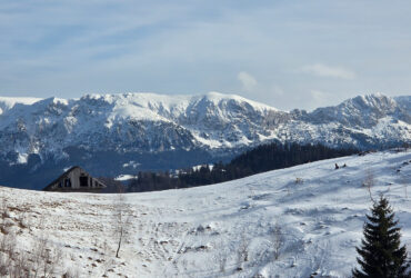 Plimbare scurtă în zona Fundata – Traseul ecoturistic T1