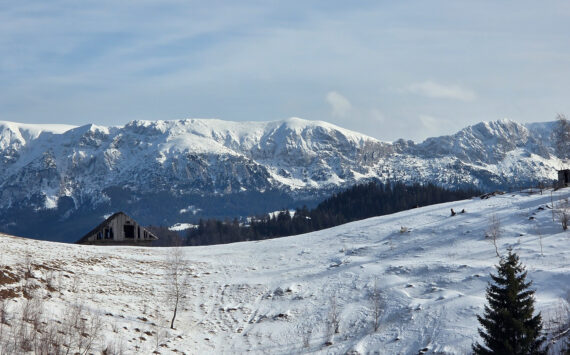 Plimbare scurtă în zona Fundata – Traseul ecoturistic T1