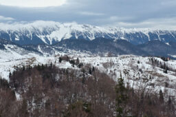 Traseu super-ușor de o zi în Fundata – Traseu ecoturistic T7