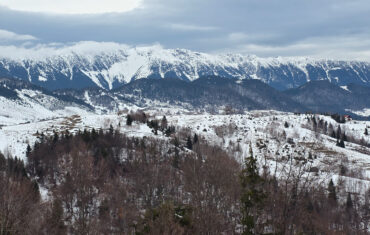 Traseu super-ușor de o zi în Fundata – Traseu ecoturistic T7