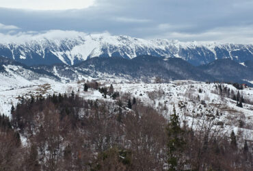 Traseu super-ușor de o zi în Fundata – Traseu ecoturistic T7