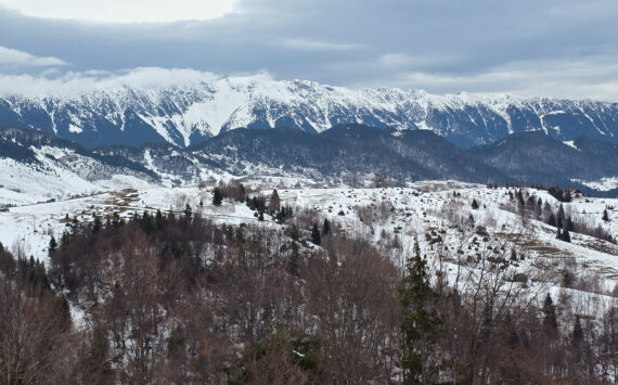 Traseu super-ușor de o zi în Fundata – Traseu ecoturistic T7