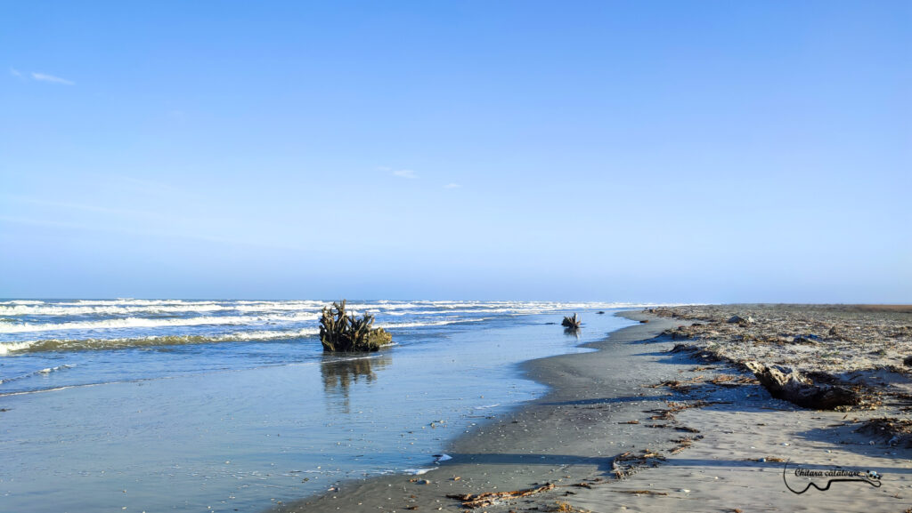 IMG 20220423 182855 2