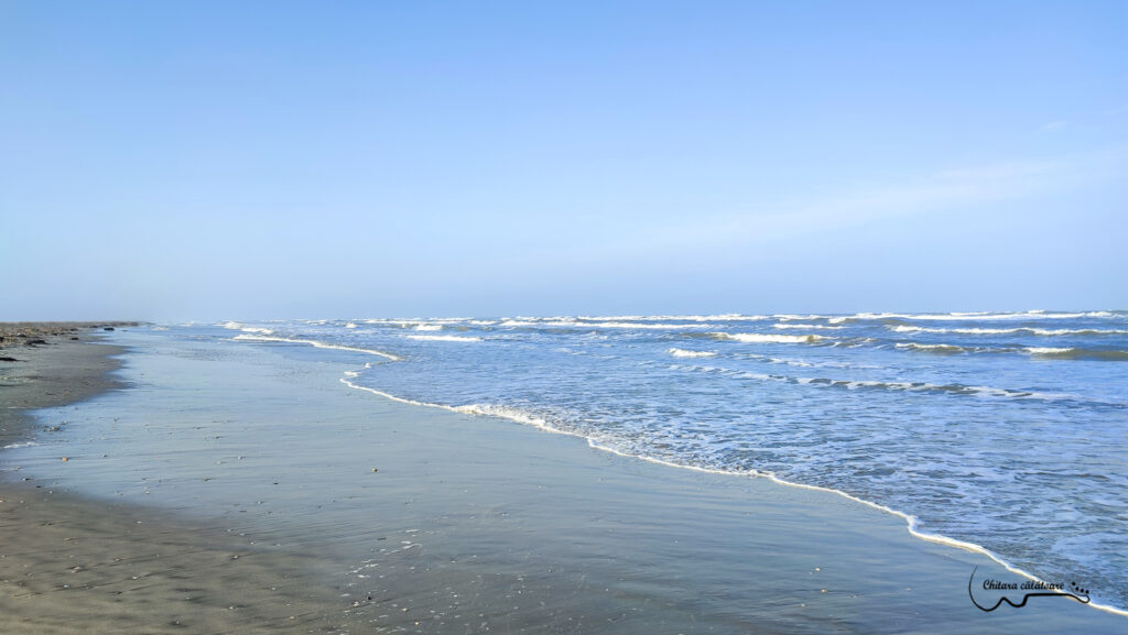 IMG 20220423 182925 2