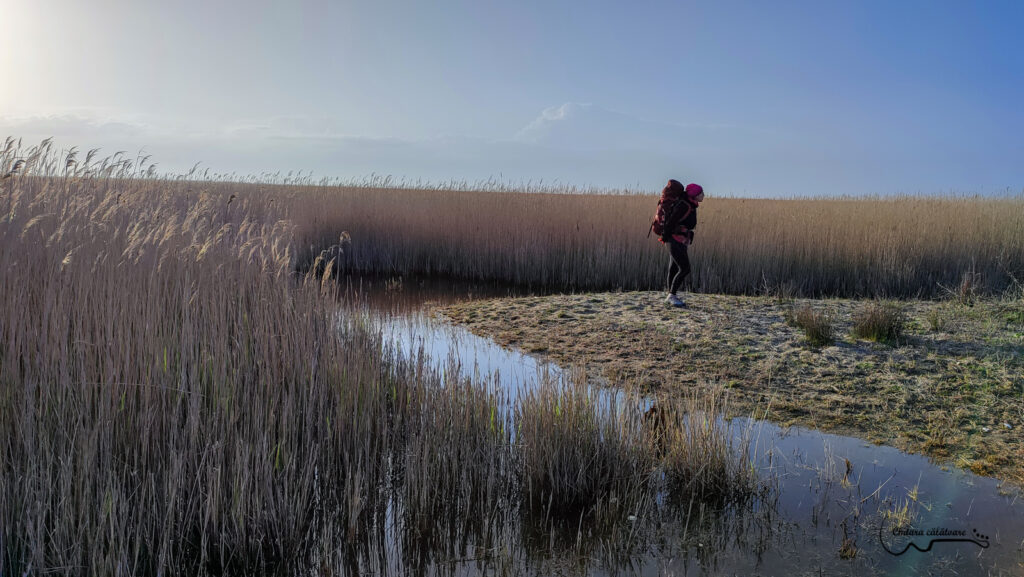 IMG 20220423 183312 2