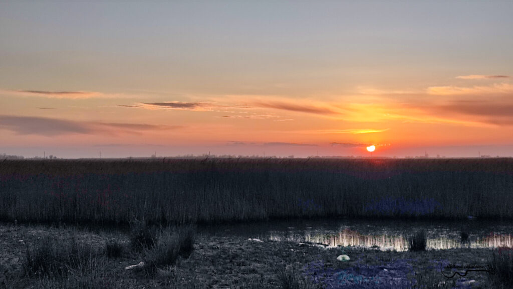 IMG 20220423 194935 2