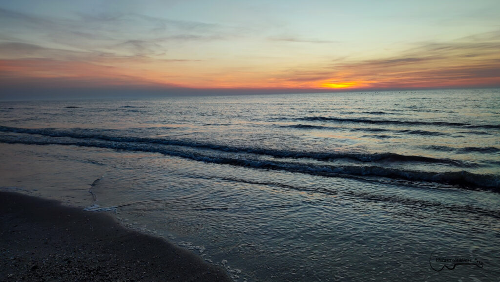 IMG 20220425 055344 3 2