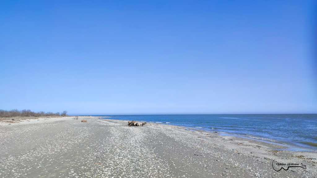 IMG 20220425 164135 3 2