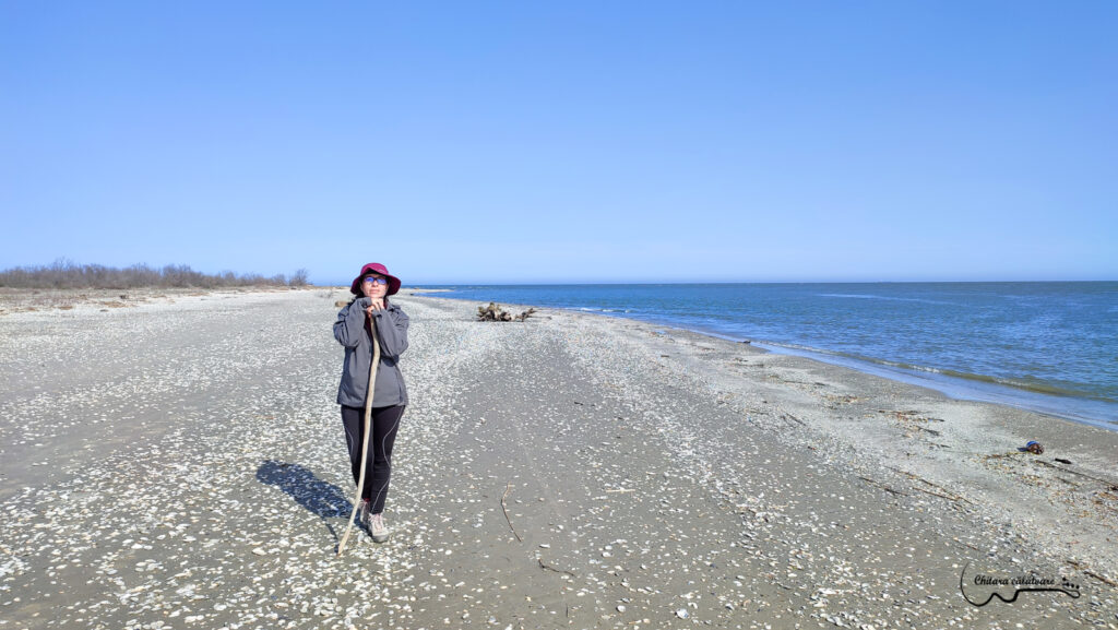 IMG 20220425 164218 Copy 3 2