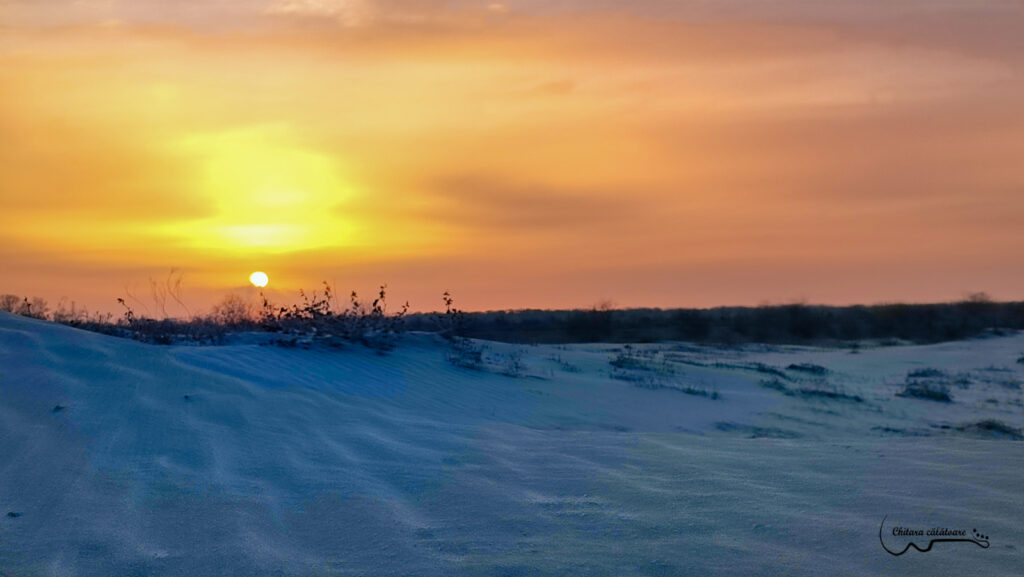 IMG 20220425 194406 3 2