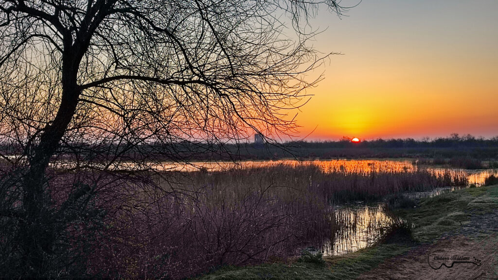 IMG 20220426 060152 2